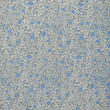 Modré kytičky na režné